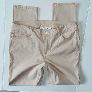 Workshop Republic Clothing Stretch Skinny Leg Jean